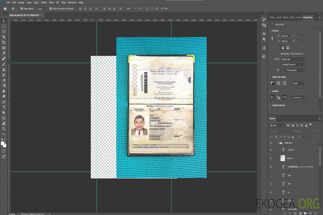 Aperçu photo du passeport brésilien version 2 (2019-présent) template